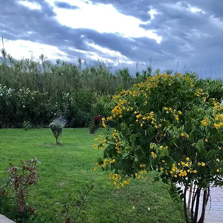Aligis Aparthotel Katelios